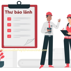 thu-bao-lanh-la-gi-cham-dut-hop-dong-bao-lanh-nha-o-hinh-thanh-trong-tuong-lai-truoc-thoi-han-thu-bao-lanh-da-phat-hanh-truoc-do-co-con-hieu-luc-khong