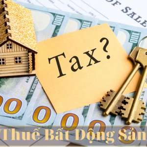 cach-tinh-thu-nhap-chiu-thue-tu-chuyen-nhuong-bat-dong-san